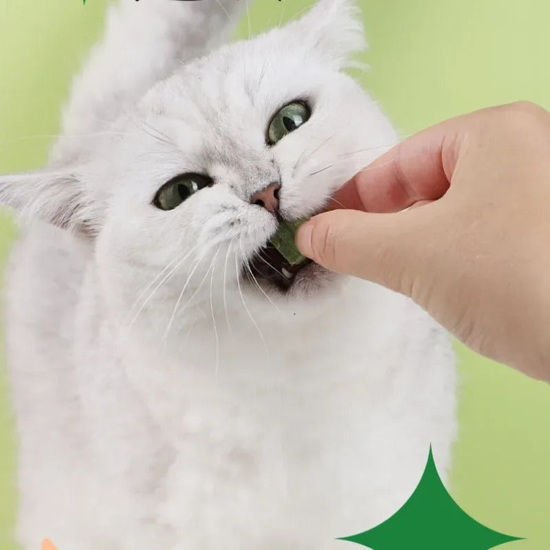 Freeze Dried Catgrass Cat Snacks Removes Hair Balls To Promote Digestion Cat Grass Catgrass Tablets Grinding Teeth Pet Snacks
