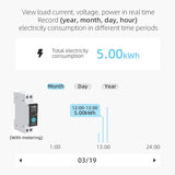 Tuya Wifi Smart Circuit Breaker Switch With Metering 63A1P Din Rail remote control Smart Home Smart Life App Timer Module TONGOU