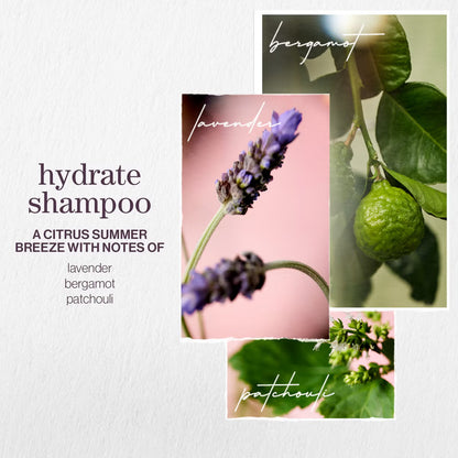 Pureology Hydrate Shampoo 266ml