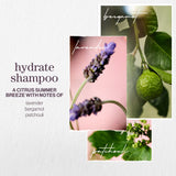Pureology Hydrate Shampoo 266ml