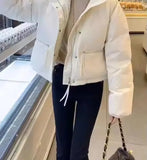 2025 Korean Fashion Women’s Short Puffer Jacket – Stand Collar Cotton-Padded Thick Winter Coat