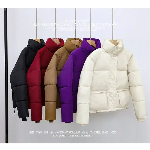 Women’s Short Standing Collar Puffer Jacket – Winter Warm Cotton-Padded Down Coat Fashion Bakery Parka Outerwear