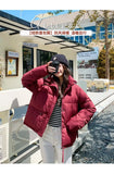 Women’s Short Standing Collar Puffer Jacket – Winter Warm Cotton-Padded Down Coat Fashion Bakery Parka Outerwear